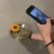 まるるんの画像
