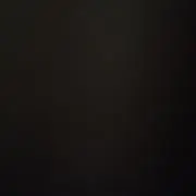 ブン太