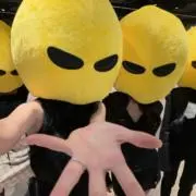ルルの画像
