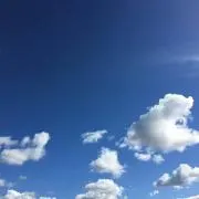 こうの画像