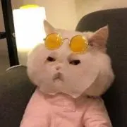 チェユンの画像