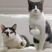 寝起き