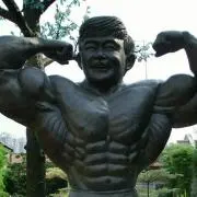 ボロンゴ23の画像