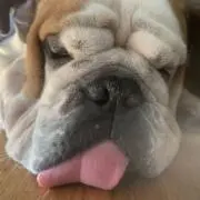 ヒロ