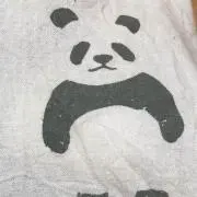 たいがひめの画像