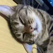MIYOの画像