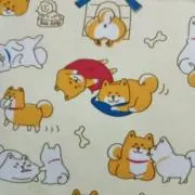 PomPomの画像