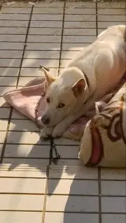 まりあの画像