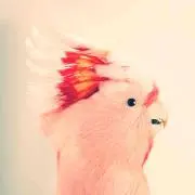 stn. プロフ必読でお願いします‼︎の画像