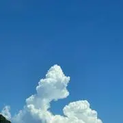 ぽんた