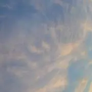 NOAの画像