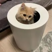TakeZoの画像