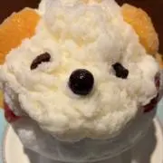 しろくま39の画像