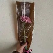 ポム