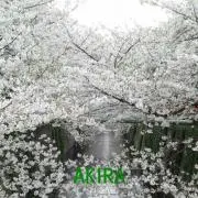 かつひろりん