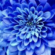 ＊YuTaO＊