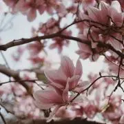 errの画像