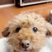 にこ