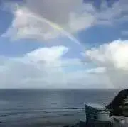 saの画像