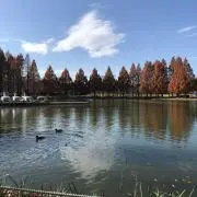 posposの画像