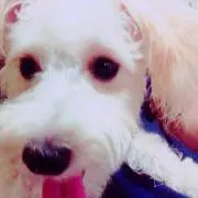 もぐもぐ#プロフ必読の画像