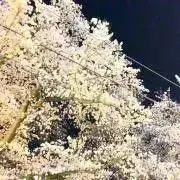唇王子の画像