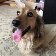 めいちゃん☆