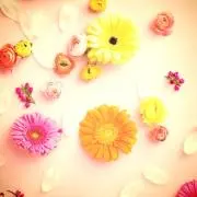 ここ