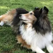 YURI♪の画像