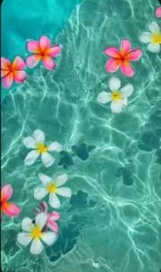 milkyの画像
