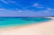 むちの画像