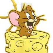 cheese