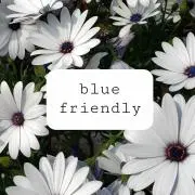 ☘️blue friendlyの画像