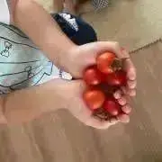ほっぺママ