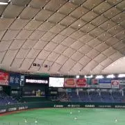 らっこの画像