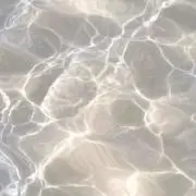 La...の画像