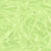 かかかの画像