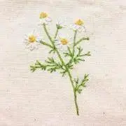 ますの画像