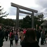 Nakamasaの画像