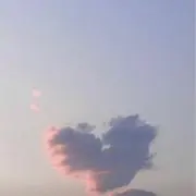 Puku♡の画像