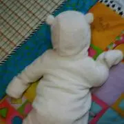 アリスの画像