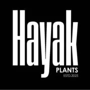 Hayak Plantsの画像