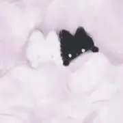 ゆの画像