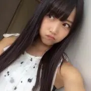 白菊