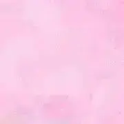 シバの画像