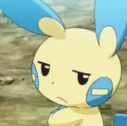 まいなん