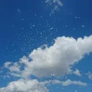 みずりぃの画像