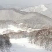 きのっぴー