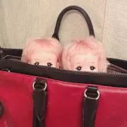 ひーさん