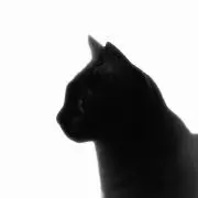 ふとんの画像